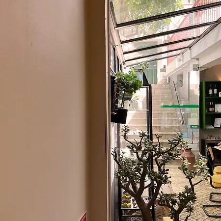 Affittacamere Casa Do Bairro By Shiadu 4*