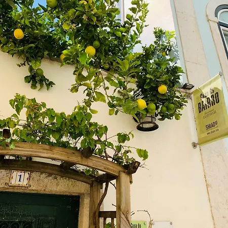 Affittacamere Casa Do Bairro By Shiadu Lisbona