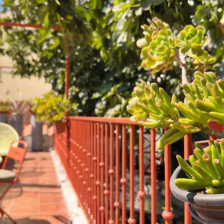 게스트하우스 카사 두 바이후 바이 시아두